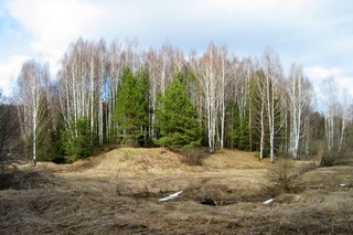 Опушка леса у истока р.Петелихи. (Andrey Fetisov)