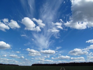 Июньские облака (Дмитрий Зонов)