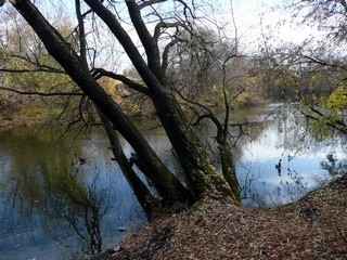 Река Иж, октябрь (Борис Бусоргин)