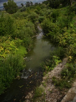 река мостовинка (павел сегал)