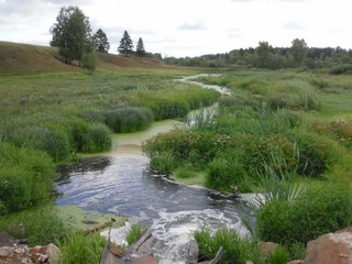 Village Stream (behindhand)