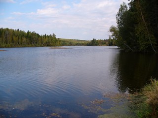 lake (metallizer)