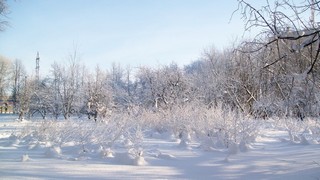 Снежные ёжики у школы №56 (Дмитрий Зонов)