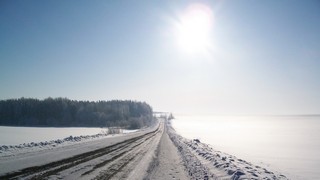Белое солнце февраля (Дмитрий Зонов)