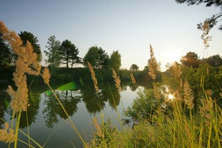 утро на озере (Соколов Леонид)
