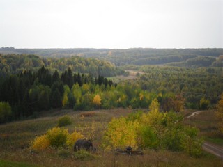 Вид от колокольни село Хмелевка (Александр Ложкин)