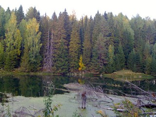 Затеряный пруд Удугучинского района (Bircoff)