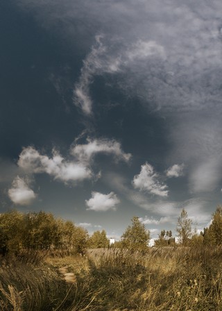 Небо над Лёвинцами (Феликс Цешнатий)