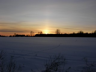 Зимний закат солнца (Колесников Кирилл)