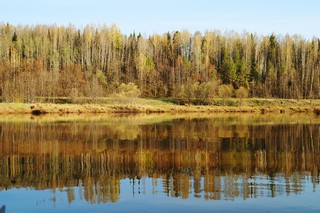река Лоза/высокий берег/весна/вид на север (Mikhail Buldakov)
