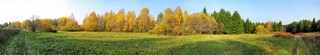 Осенний лес. Панорама 190º. (Eugene Sky)