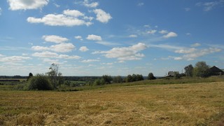 Панорама д. Бурино (Andrey Ivashchenko)