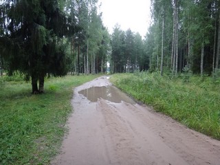 Дорога к водоёму (Laplas Ilya)
