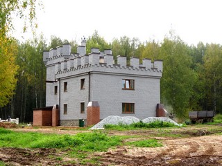 Гороховский замок, 2012 г. (Дмитрий Зонов)