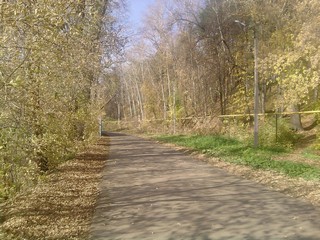Дорога под старым парком (Громов)