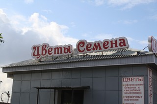 Flower shop. Kirov. Russia. Цветочный киоск в Кирове. Россия (kikiwis)