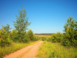Дорога в д. Фертики / road to Fertiki's village (Kajsy)