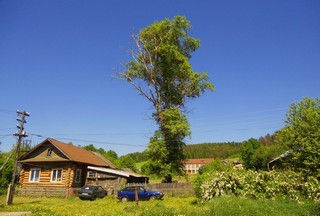 Домик в деревне Перевоз (Andrey Ivashchenko)