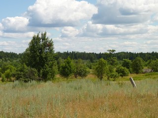 Панорама (Михаил Калашников (Михрюша))