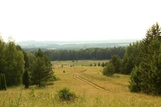 Поля-леса (Cigvincev)