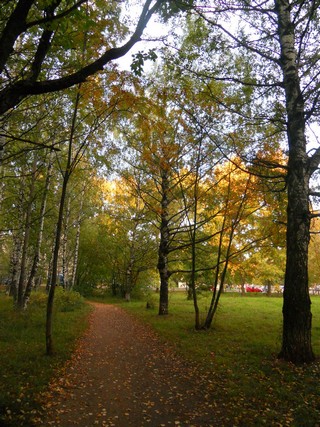 Осенью в парке (Andrey Ivashchenko)