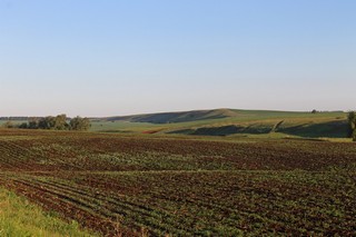 Раннее утро. Между деревнями Каркаусь и Салтык-Ерыклы, Республика Татарстан, Кукморский район. Фото сделано 04.06.2012, 5:16 (Alexandr El'kin)