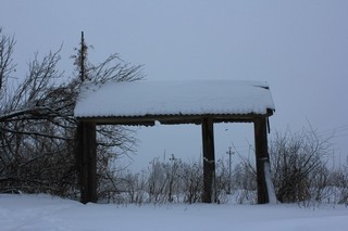 Визитная карточка Селег (DronDimon4ik)