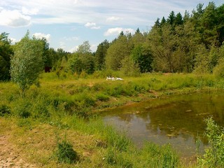 пожарный водоём в д.Сергеево (Дембель)