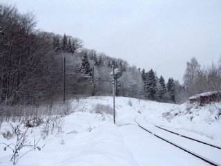  Ж/д ветка на Котлас (Дмитрий Зонов)