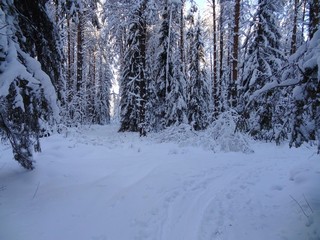 Поворот на малом лыжном круге (bokax)