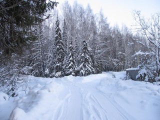 Развилка (Дмитрий Зонов)