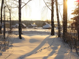 Тени (Дмитрий Зонов)