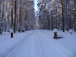 Долго шлагбаум не простоял (bokax)