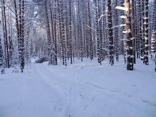 Дорогу замело (bokax)