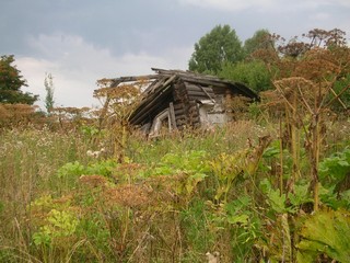 д. Золотухино, 2013 г. (Валя Марусина)