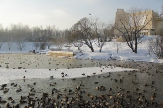 Верхний пруд (Наталья Касимова)