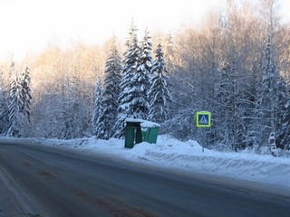 Остановка Осинцы по требованию (Дмитрий Зонов)