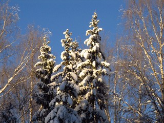 Вершины (Дмитрий Зонов)