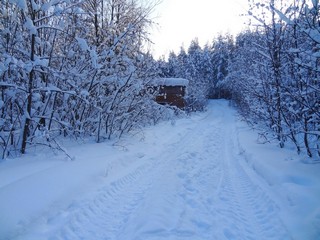 Низинка у р. Чернушка (bokax)