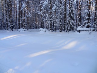 Муравейники под белым одеялом (bokax)