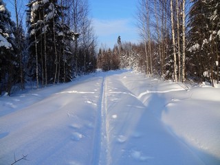Дорога к полю (bokax)
