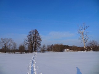 Бывшая д. Лыковы (bokax)