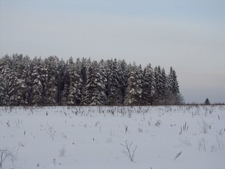 Безмолвие (Дмитрий Зонов)