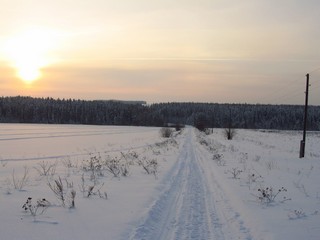 Дорога на Слоты-Осинцы (Дмитрий Зонов)