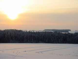 Снегоходные параллели (Дмитрий Зонов)