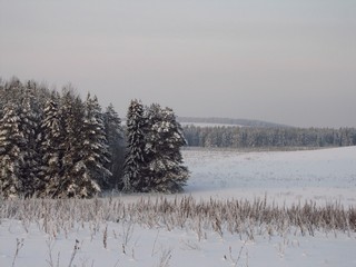 На опушке (Дмитрий Зонов)