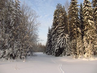 Спуск к р.Касьянке (Дмитрий Зонов)