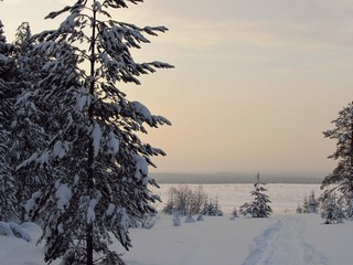 Дали туманные (Дмитрий Зонов)