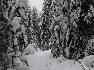 Сужение пространства (Дмитрий Зонов)