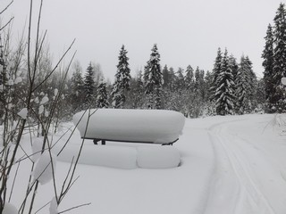 Стол для гостей (Дмитрий Зонов)